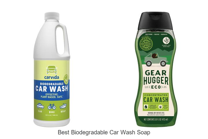 Best Biodegradable Car Wash Soap for a Sparkling Clean Ride