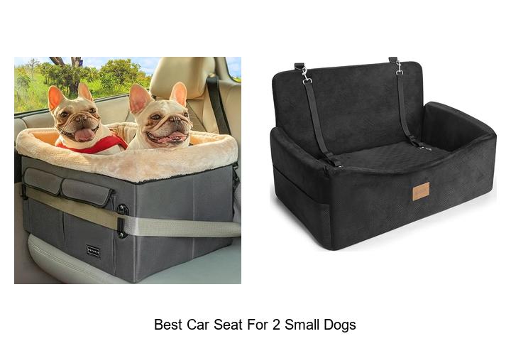Best Car Seat for 2 Small Dogs – Ultimate Comfort Choice!