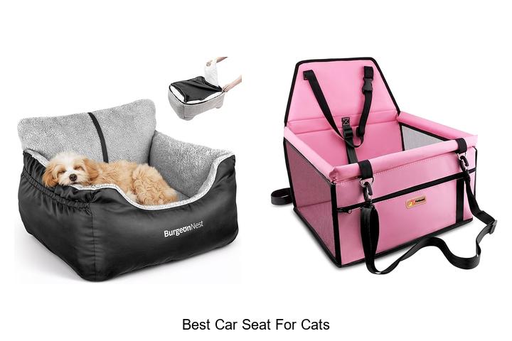 Best Car Seat For Cats That Will Blow Your Mind!