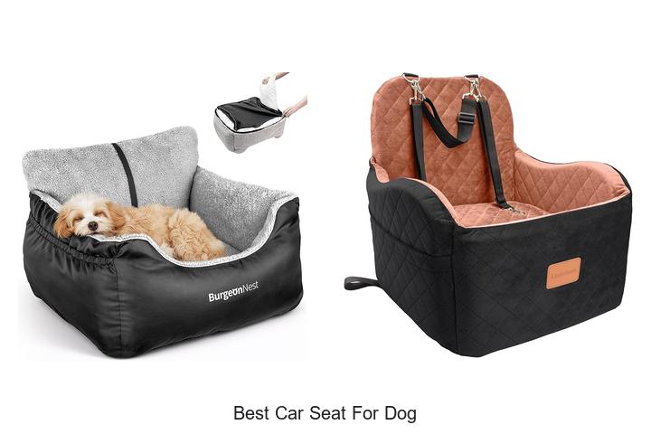 Best Car Seat For Dog That Will Change Travel Forever