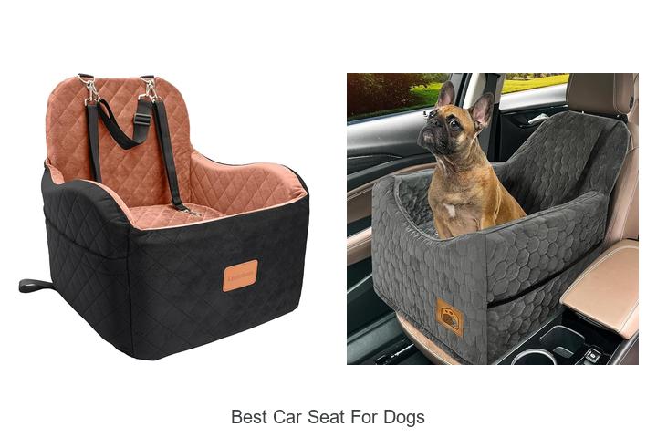 Best Car Seat For Dogs That Will Change Your Pet Rides!