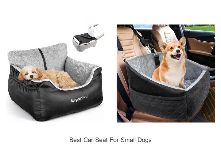 12 Best Car Seat For Small Dogs That Will Blow Your Mind!