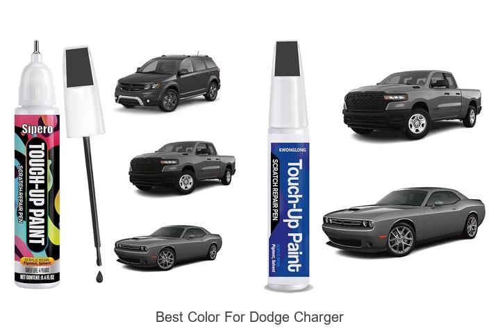 Best Color For Dodge Charger That Will Turn Every Head