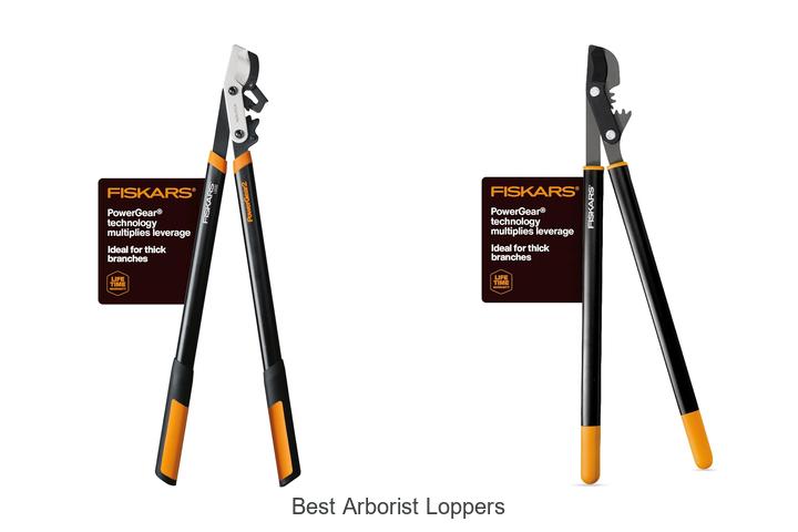 Best Arborist Loppers That Will Transform Your Tree Care!