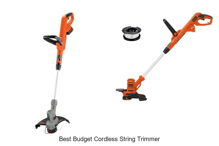 Best Budget Cordless String Trimmer That Will Shock You!