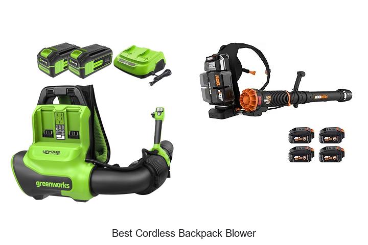 Best Cordless Backpack Blower That Will Blow You Away!