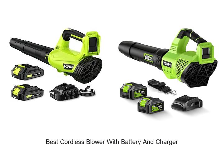 Best Cordless Blower With Battery And Charger Revealed!
