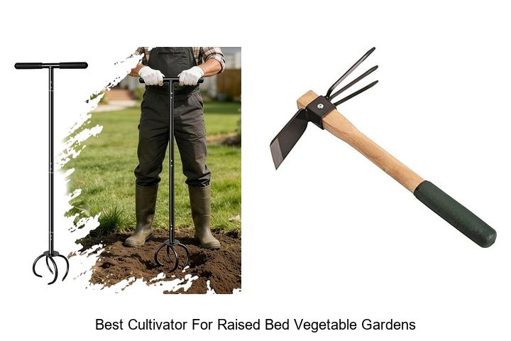 Best Cultivator For Raised Bed Vegetable Gardens Revealed!