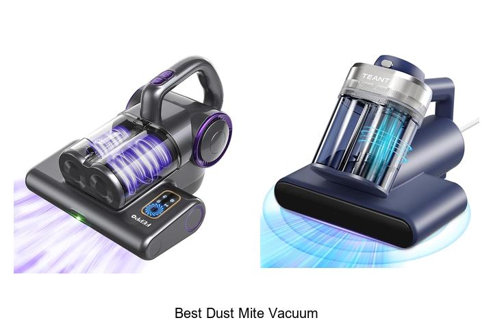 Top 10 Best Dust Mite Vacuum That Will Change Cleaning Forever