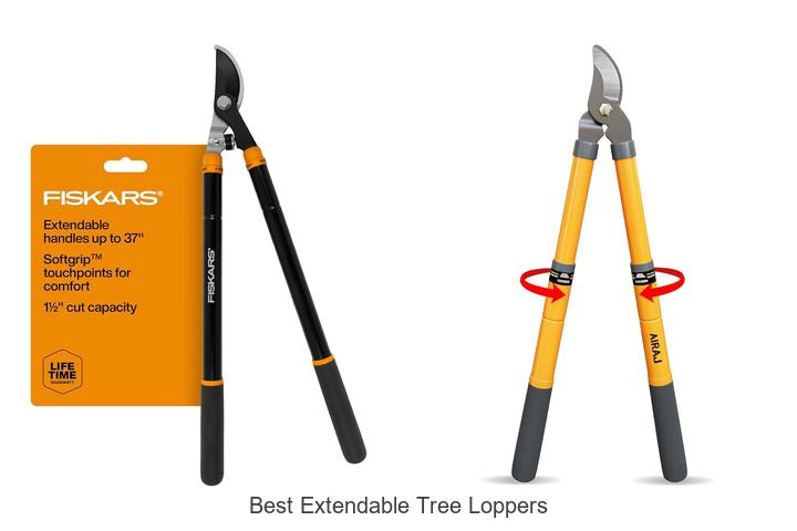 Best Extendable Tree Loppers That Will Transform Your Garden