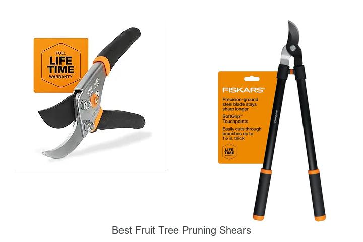 Top 10 Best Fruit Tree Pruning Shears You Must Have Today