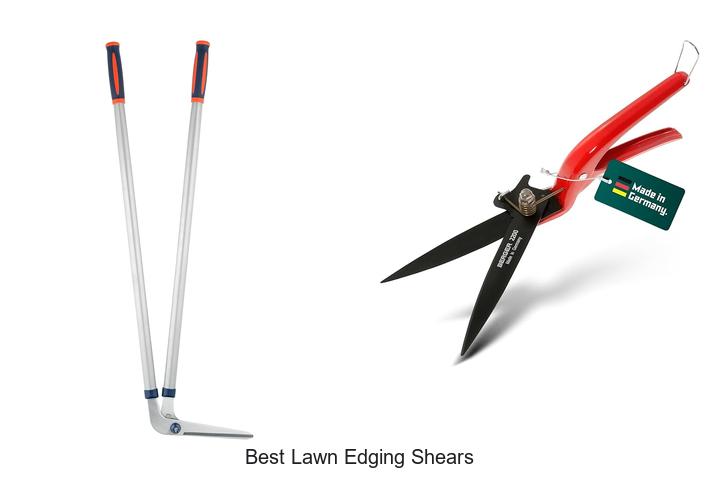 Best Lawn Edging Shears That Will Transform Your Yard Fast