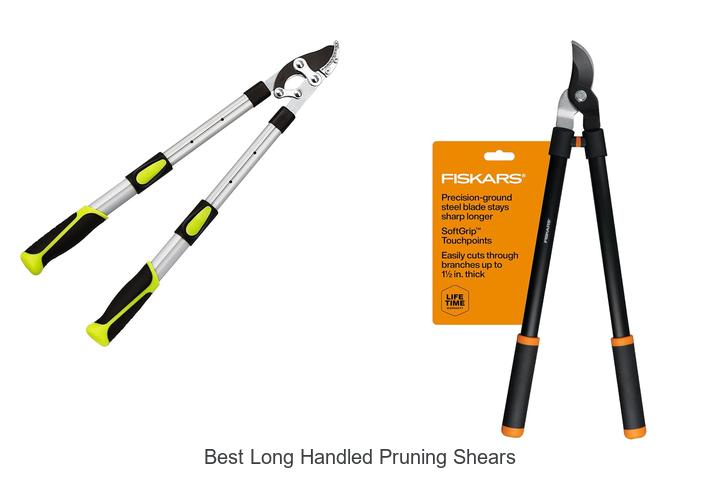 Best Long Handled Pruning Shears That Will Change Gardening!