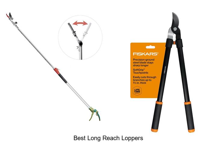 Best Long Reach Loppers That Will Transform Your Garden!