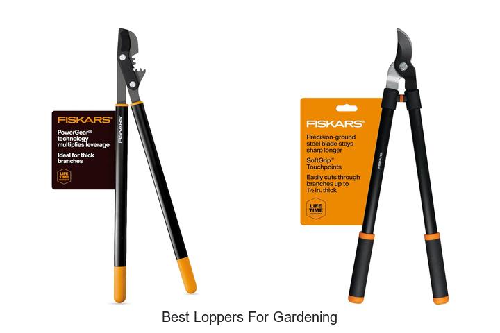 Best Loppers for Gardening That Will Change Your Yard Game