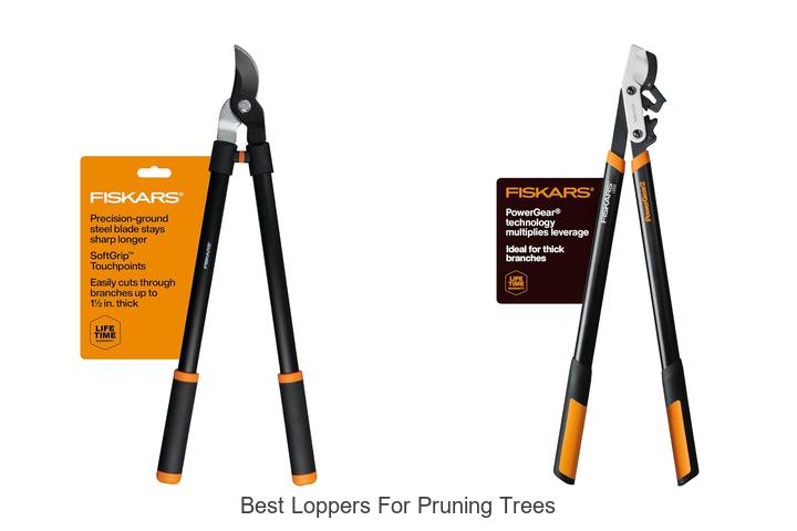 Best Loppers For Pruning Trees That Experts Swear By
