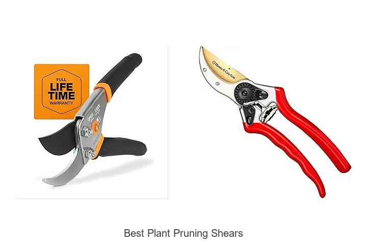 Best Plant Pruning Shears That Will Transform Your Garden