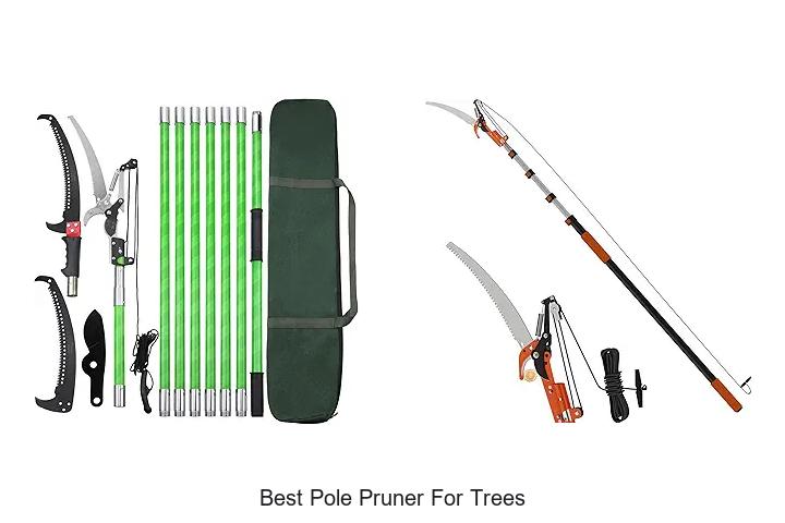 Best Pole Pruner for Trees That Will Change Your Yard Game