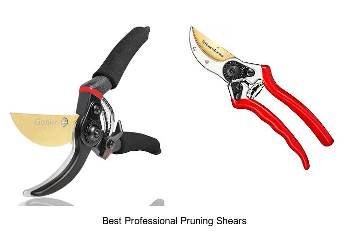 Best Professional Pruning Shears That Experts Swear By
