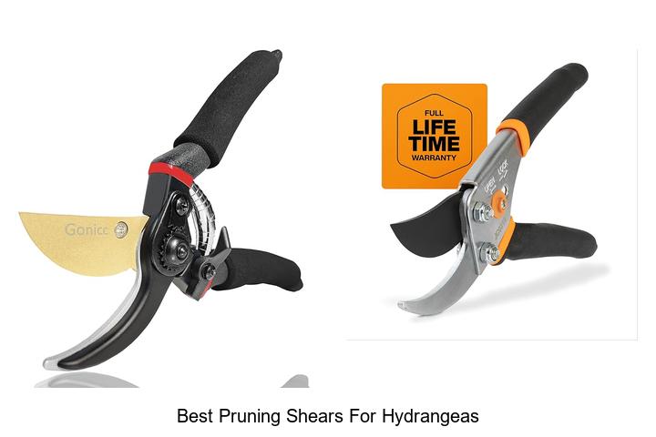 Best Pruning Shears for Hydrangeas That Will Transform Your Garden