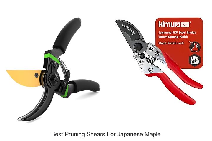 Best Pruning Shears for Japanese Maple That Experts Love