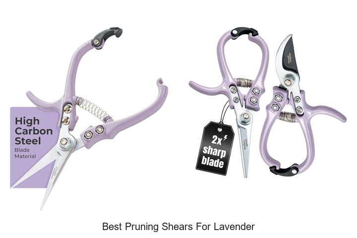 Best Pruning Shears For Lavender You Can’t Miss Today