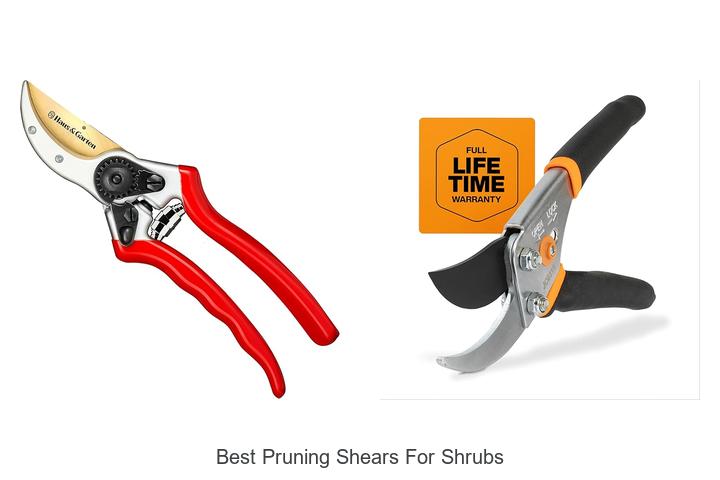 Best Pruning Shears For Shrubs That Will Blow Your Mind!