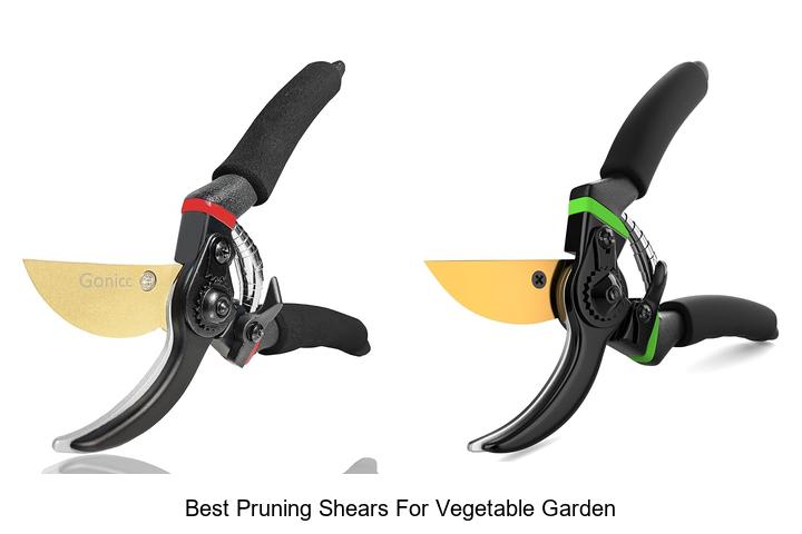 Best Pruning Shears for Vegetable Garden That Wow!