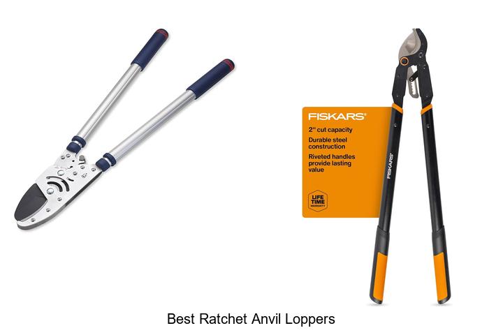 Best Ratchet Anvil Loppers That Will Transform Your Yard