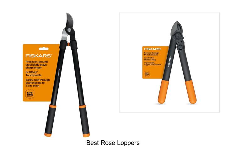 Best Rose Loppers That Will Transform Your Garden Work!