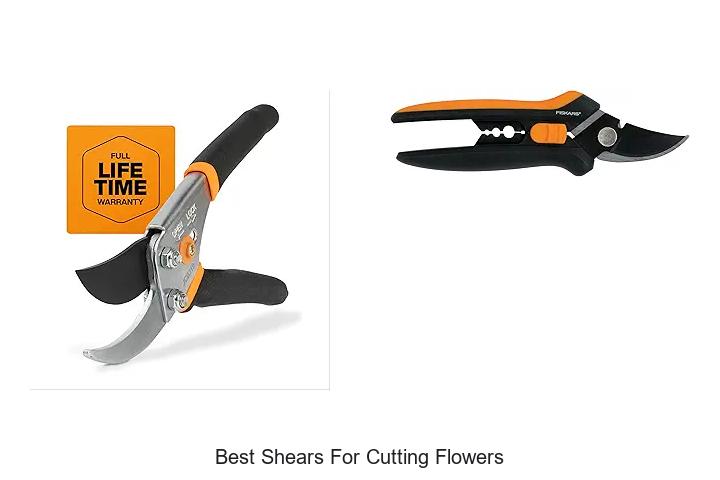 Best Shears For Cutting Flowers: Top Picks You Can’t Miss!
