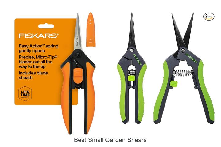Best Small Garden Shears To Transform Your Yard Now!