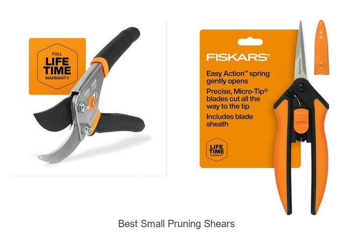 Best Small Pruning Shears That Will Transform Your Garden!