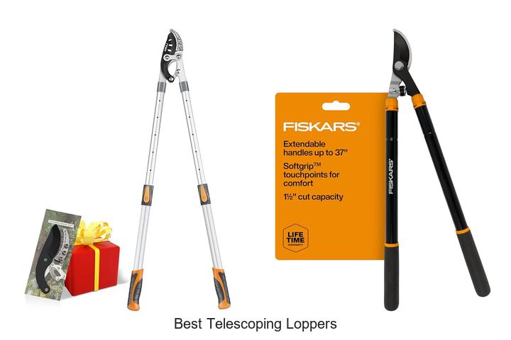 Best Telescoping Loppers That Will Change Your Pruning Game