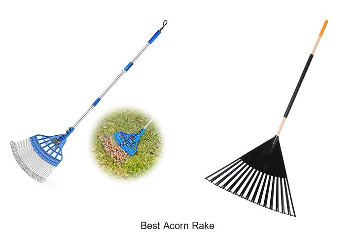 Top 10 Best Acorn Rake Hacks You Can’t Miss Today!