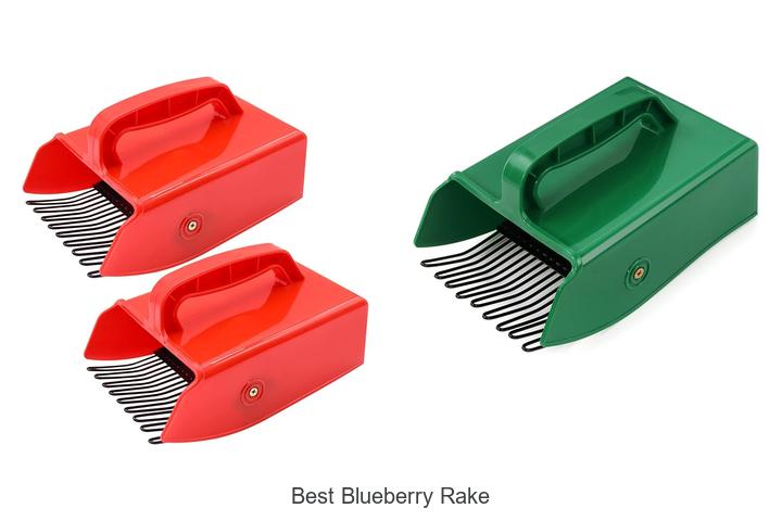 Top 10 Best Blueberry Rake You Can’t Miss Buying!