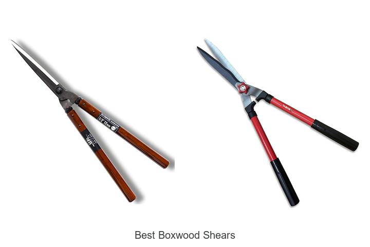 Top 10 Best Boxwood Shears That Will Transform Your Garden!
