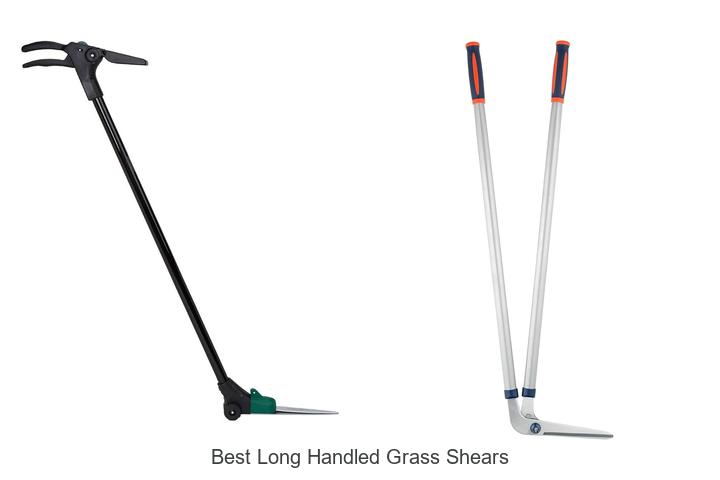 Top 10 Best Long Handled Grass Shears That Will Amaze You