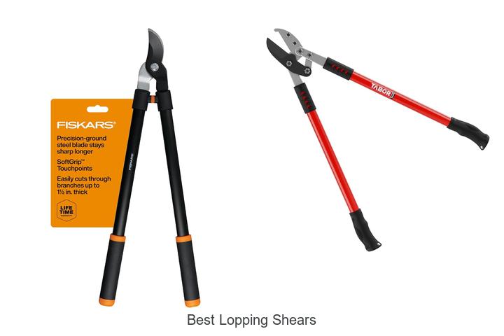 Top 10 Best Lopping Shears That Will Transform Your Garden!