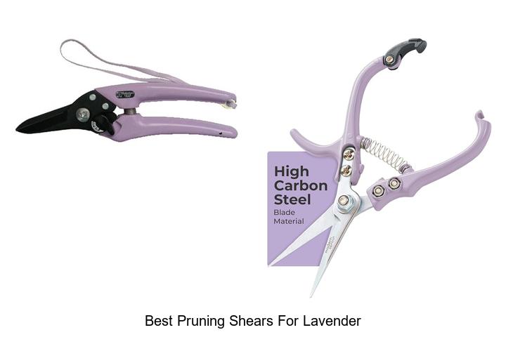 Top 10 Best Pruning Shears For Lavender You Need Now