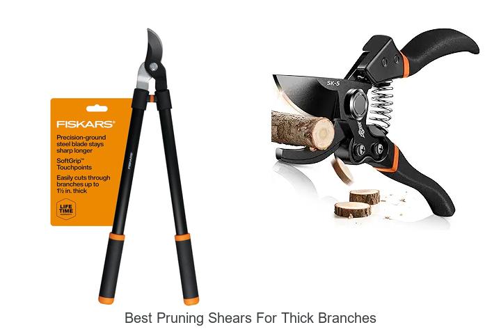 Top 10 Best Pruning Shears for Thick Branches Revealed!