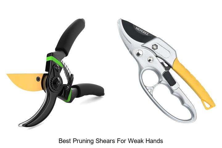 Top 10 Best Pruning Shears for Weak Hands You’ll Love