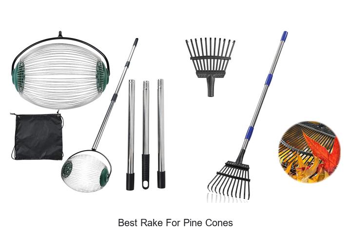 Top 10 Best Rake For Pine Cones That Will Blow Your Mind