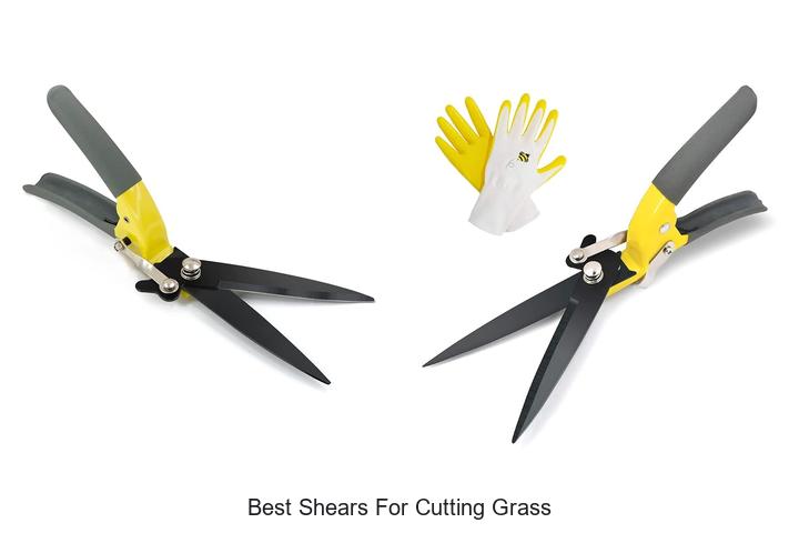 Top 10 Best Shears for Cutting Grass That Will Amaze You