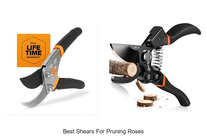 Top 10 Best Shears for Pruning Roses That Will Amaze You