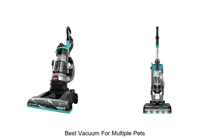 Top 10 Best Vacuum For Multiple Pets That Will Blow Your Mind